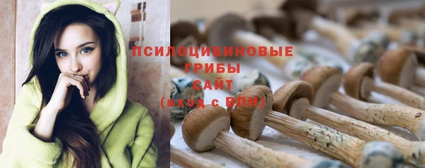 первитин Абаза