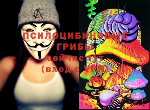 стафф Алексин